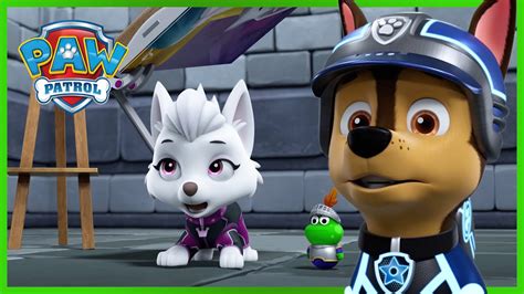 pawmanha|Mission PAW and Ultimate Rescues .